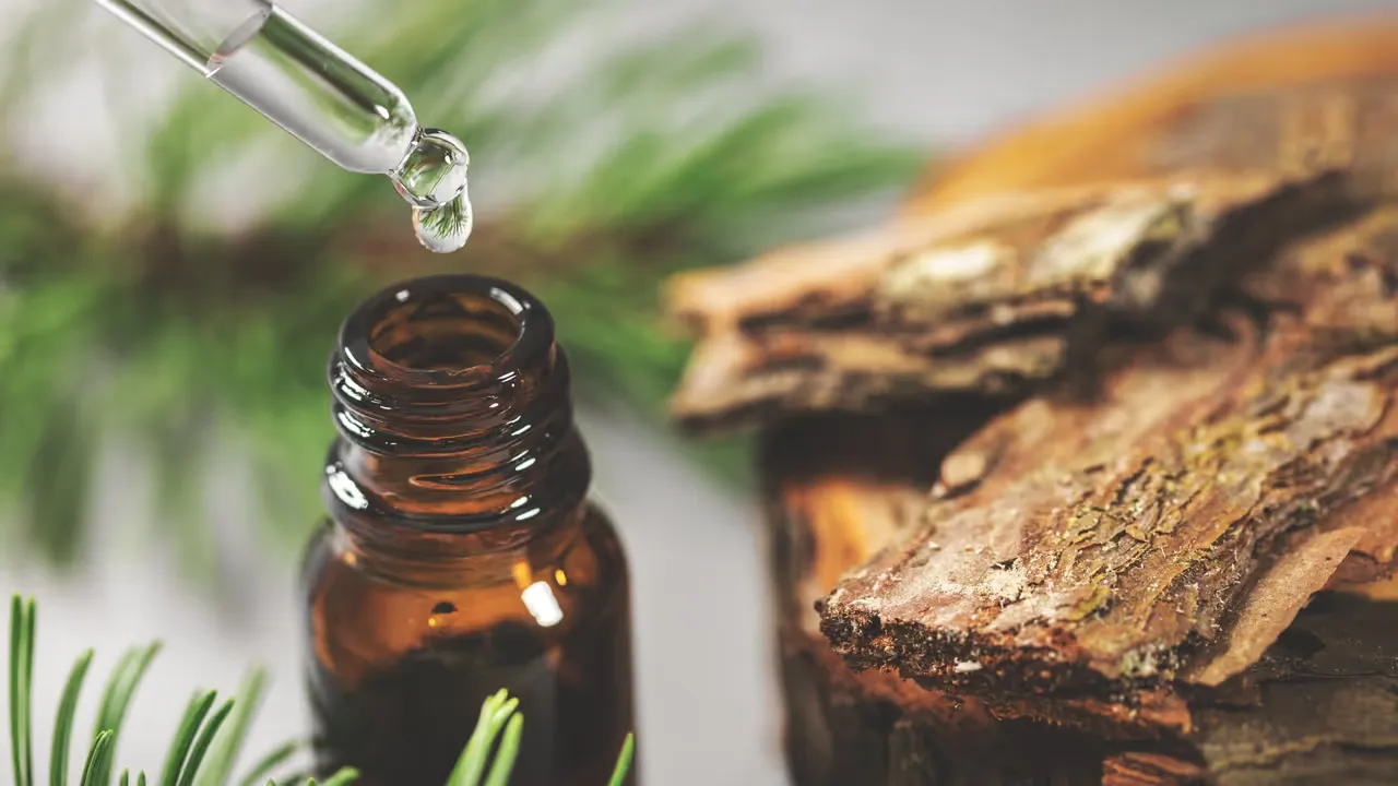 Dofternas kraft för bättre välmående